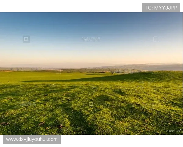 伊犁美丽草原上空俯瞰激烈足球赛场景尽显动感与激情